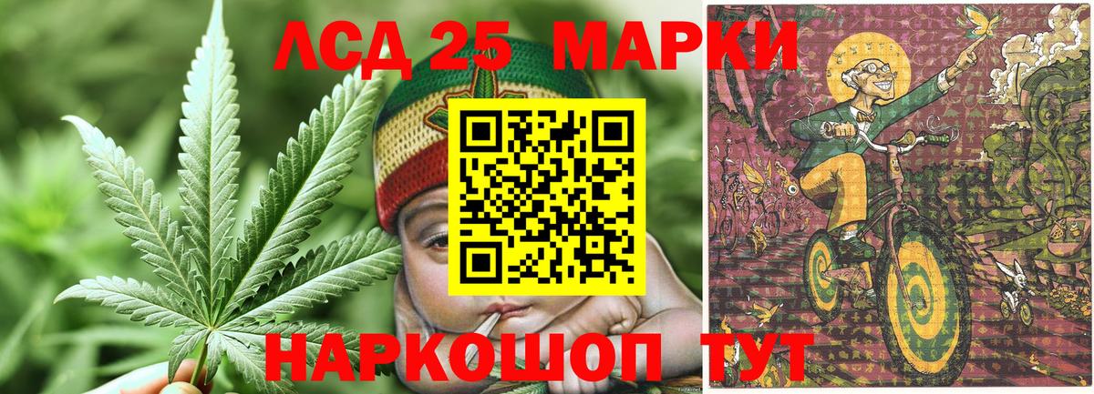 Наркотические марки  Наркотические марки 1500мкг  Наркотические марки 1500мкг  Вход с VPN  Назрань 