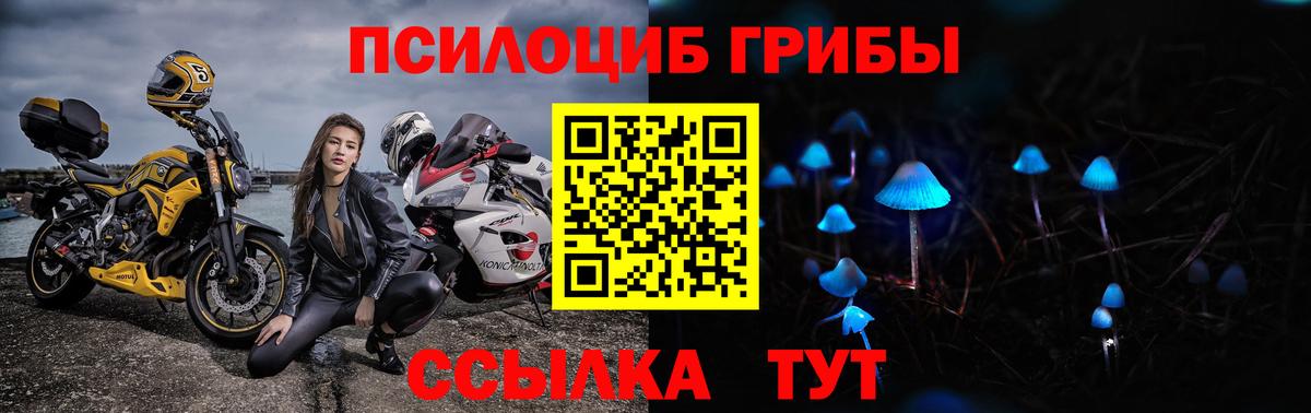 Галлюциногенные грибы MAGIC MUSHROOMS  Вход с VPN  Назрань 